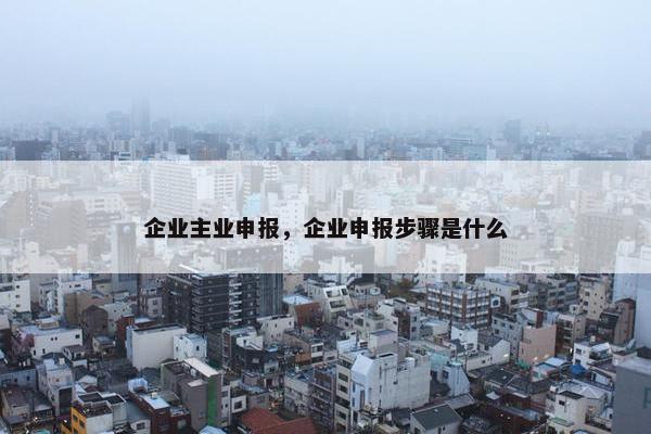 企业主业申报，企业申报步骤是什么