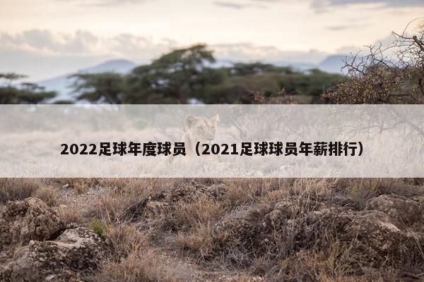 2022足球年度球员（2021足球球员年薪排行）