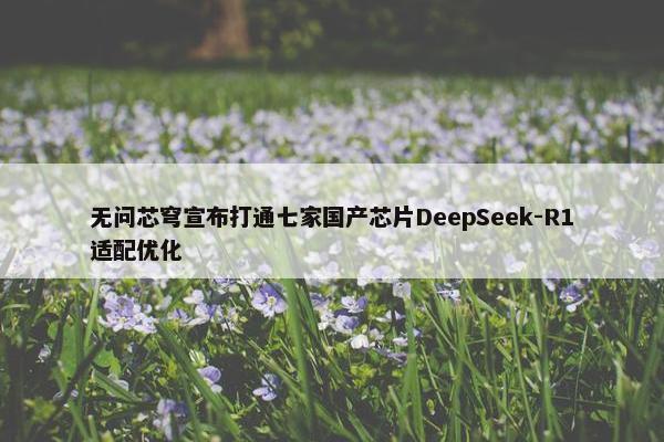 无问芯穹宣布打通七家国产芯片DeepSeek-R1适配优化