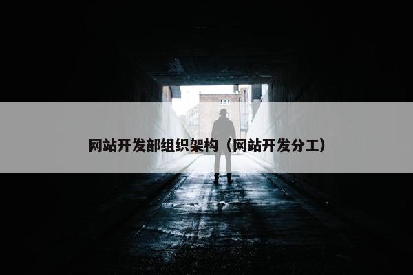 网站开发部组织架构（网站开发分工）