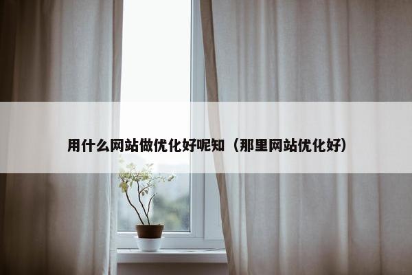 用什么网站做优化好呢知（那里网站优化好）