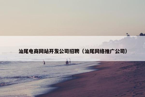 汕尾电商网站开发公司招聘（汕尾网络推广公司）