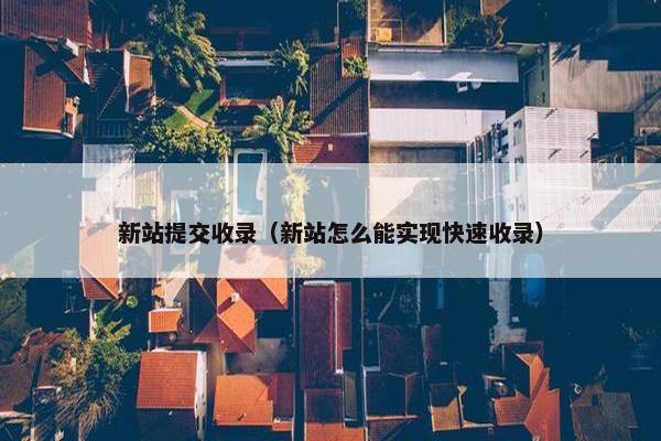 新站提交收录（新站怎么能实现快速收录）