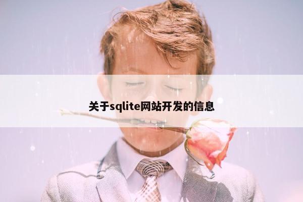 关于sqlite网站开发的信息