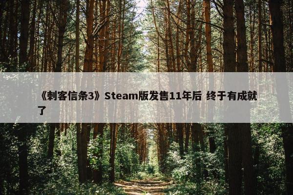 《刺客信条3》Steam版发售11年后 终于有成就了