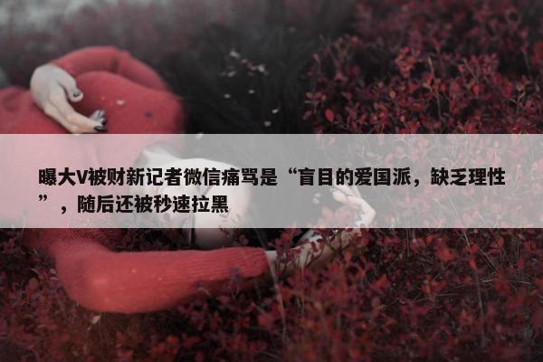 曝大V被财新记者微信痛骂是“盲目的爱国派，缺乏理性”，随后还被秒速拉黑