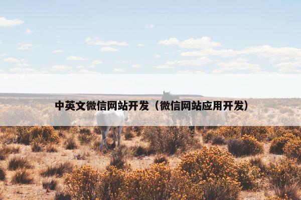 中英文微信网站开发（微信网站应用开发）