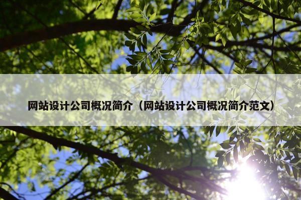 网站设计公司概况简介（网站设计公司概况简介范文）