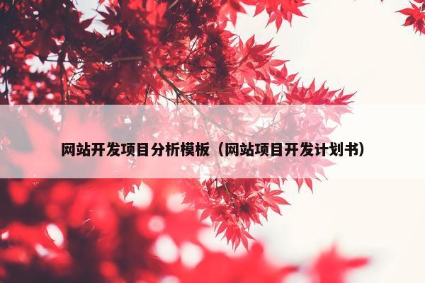 网站开发项目分析模板（网站项目开发计划书）