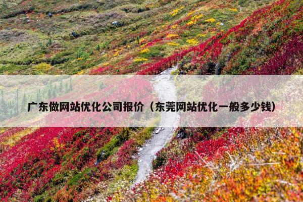 广东做网站优化公司报价（东莞网站优化一般多少钱）