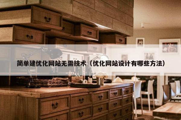 简单建优化网站无需技术（优化网站设计有哪些方法）