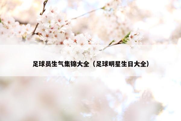 足球员生气集锦大全（足球明星生日大全）