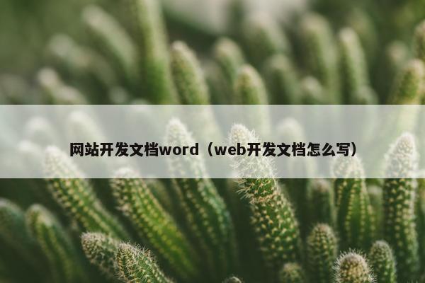 网站开发文档word（web开发文档怎么写）