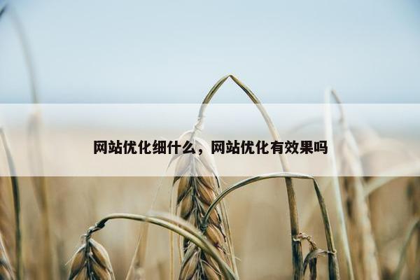 网站优化细什么，网站优化有效果吗