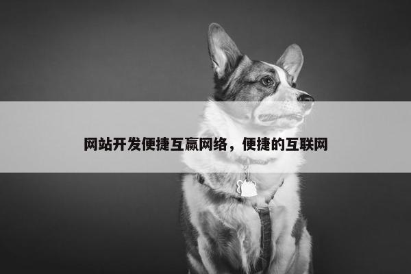 网站开发便捷互赢网络，便捷的互联网