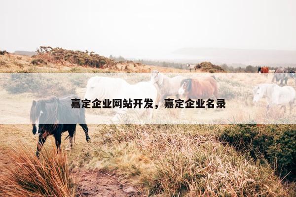 嘉定企业网站开发，嘉定企业名录