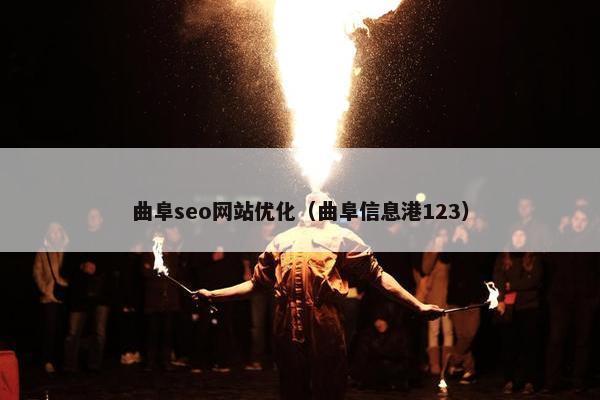 曲阜seo网站优化（曲阜信息港123）