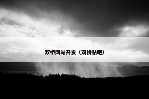 双桥网站开发（双桥贴吧）