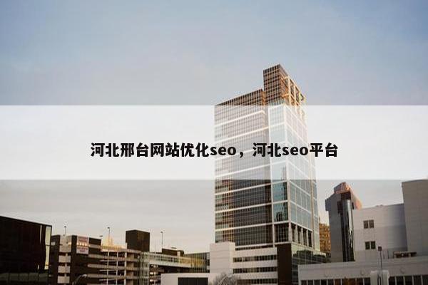 河北邢台网站优化seo，河北seo平台