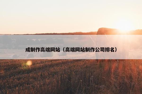 成制作高端网站（高端网站制作公司排名）