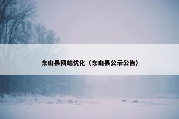 东山县网站优化（东山县公示公告）