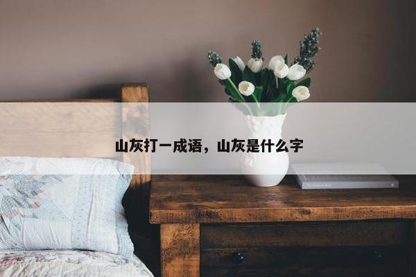 山灰打一成语，山灰是什么字