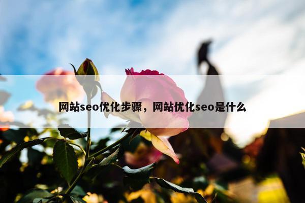 网站seo优化步骤，网站优化seo是什么