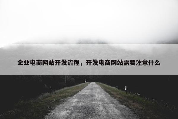 企业电商网站开发流程，开发电商网站需要注意什么