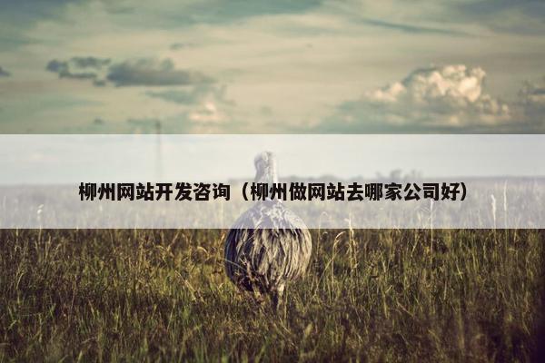 柳州网站开发咨询（柳州做网站去哪家公司好）