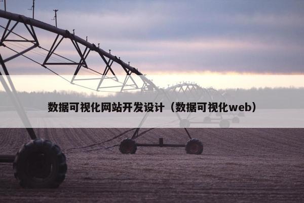 数据可视化网站开发设计（数据可视化web）