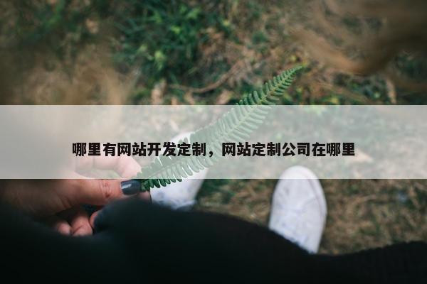 哪里有网站开发定制，网站定制公司在哪里