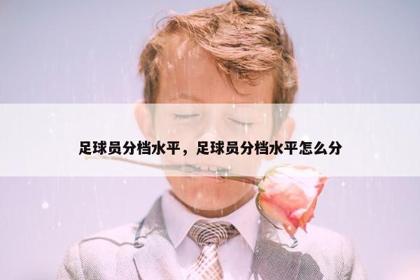 足球员分档水平，足球员分档水平怎么分