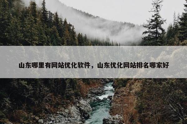 山东哪里有网站优化软件，山东优化网站排名哪家好