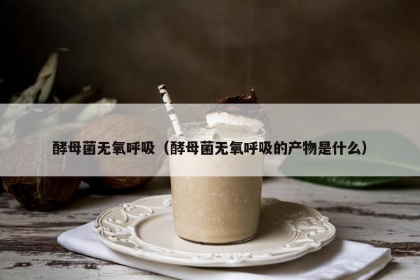 酵母菌无氧呼吸（酵母菌无氧呼吸的产物是什么）