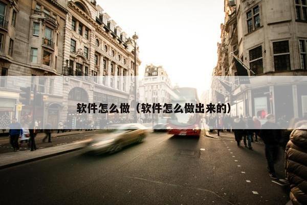 软件怎么做（软件怎么做出来的）