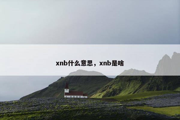 xnb什么意思，xnb是啥