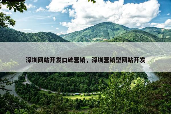 深圳网站开发口碑营销，深圳营销型网站开发