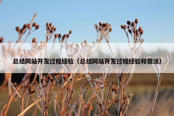 总结网站开发过程经验（总结网站开发过程经验和做法）