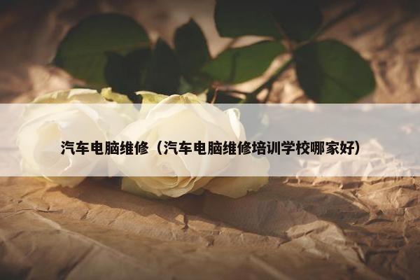 汽车电脑维修（汽车电脑维修培训学校哪家好）