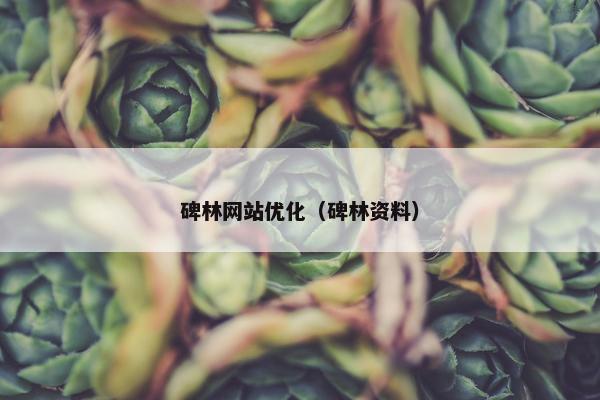 碑林网站优化（碑林资料）