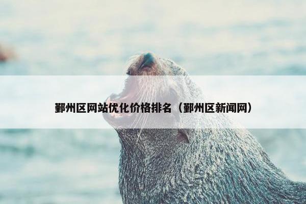 鄞州区网站优化价格排名（鄞州区新闻网）