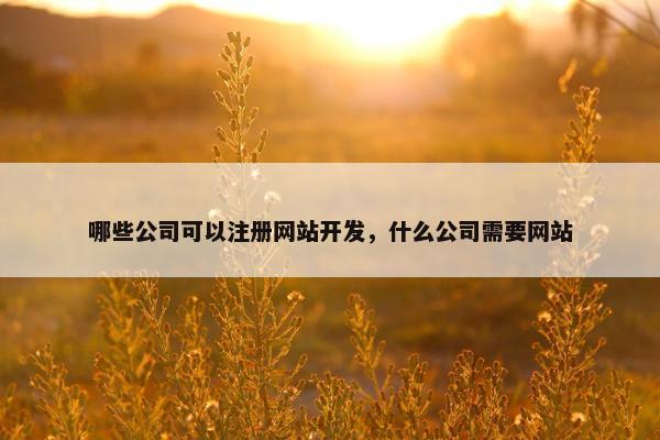 哪些公司可以注册网站开发，什么公司需要网站