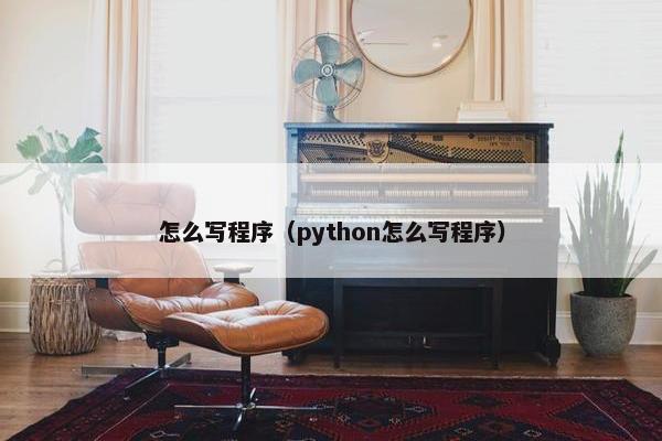 怎么写程序（python怎么写程序）