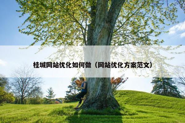 桂城网站优化如何做（网站优化方案范文）