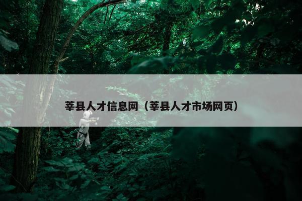 莘县人才信息网（莘县人才市场网页）