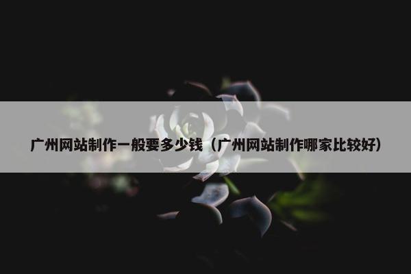 广州网站制作一般要多少钱（广州网站制作哪家比较好）