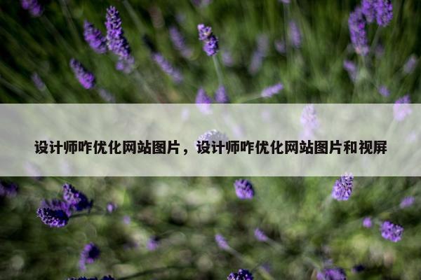 设计师咋优化网站图片，设计师咋优化网站图片和视屏