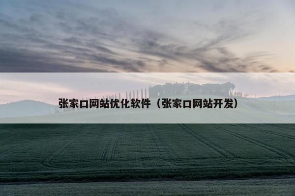 张家口网站优化软件（张家口网站开发）