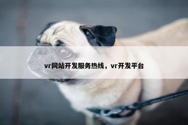 vr网站开发服务热线，vr开发平台