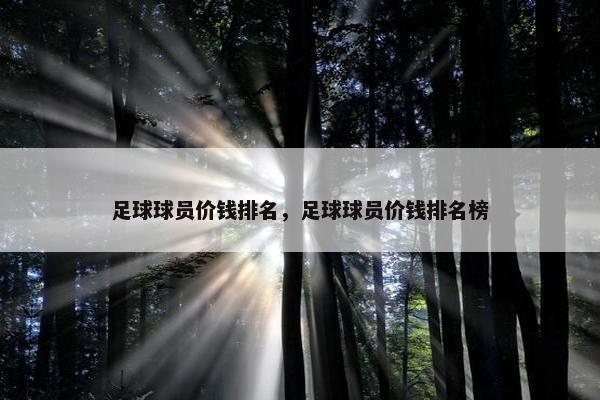 足球球员价钱排名，足球球员价钱排名榜